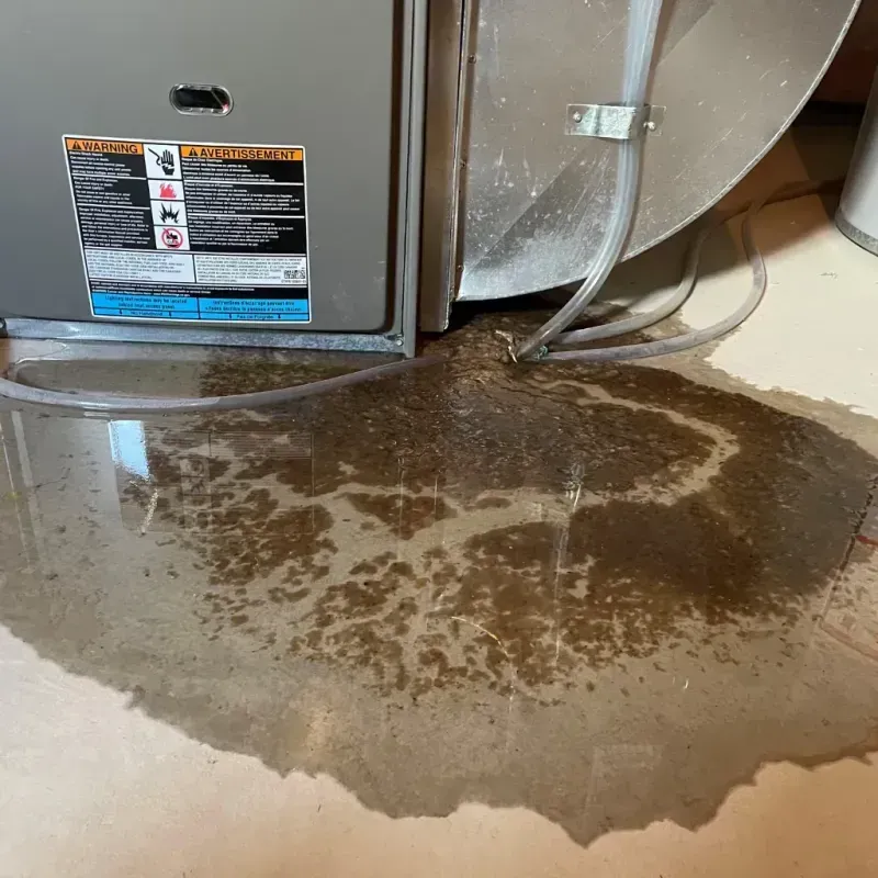 Appliance Leak Cleanup in Belleville, MI